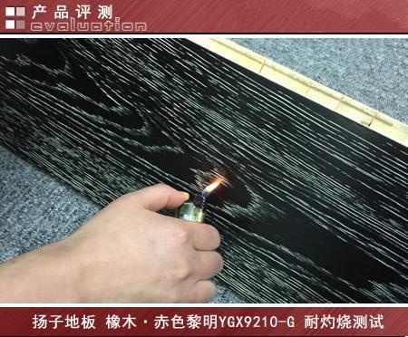 至尊品质 非凡品位 扬子地板 橡木YGX9210-G评测