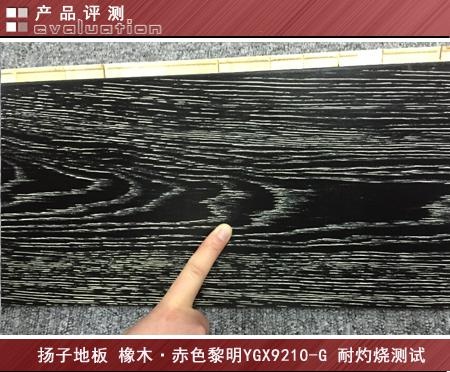 至尊品质 非凡品位 扬子地板 橡木YGX9210-G评测