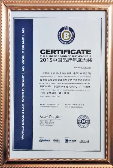 中国品牌奥斯卡揭幕 大自然获地板行业No.1大奖