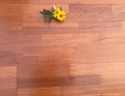 大自然教你挑选健康环保的实木复合地板