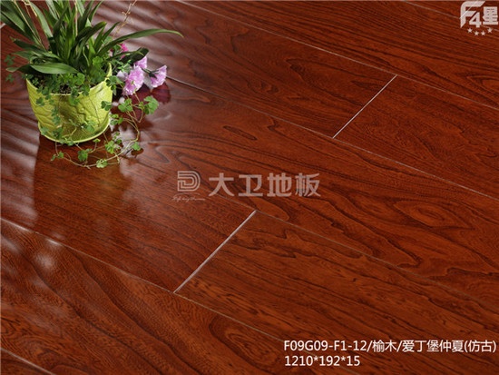 大卫地板荣膺中国地板环保品牌