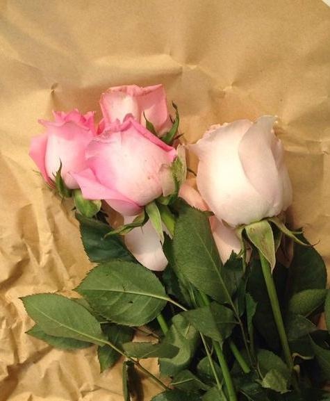 老公不过捡了些烂玫瑰梗，这样一弄竟然种出了一大堆花！