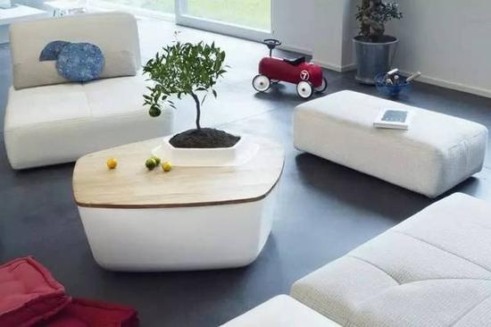 植物元素家具 打造清新家居风范
