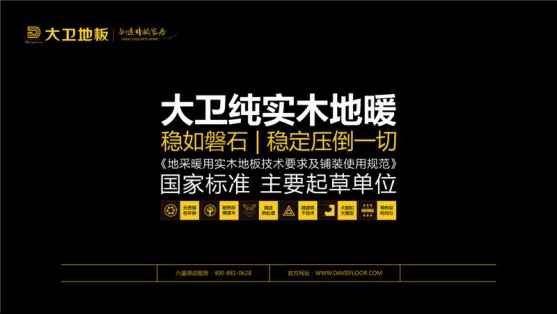 专注与专业|大卫地板荣获“2017中国实木地板行业卓越奖”
