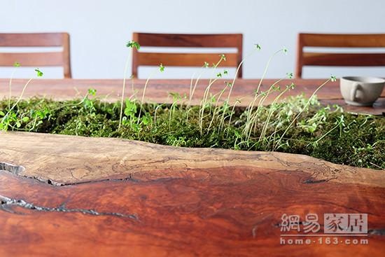 了不起的创意|酷大叔做家具从不补木头结疤 绿植种在桌子裂缝里