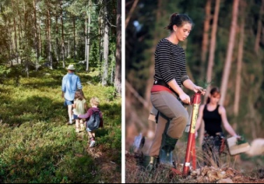 提前看看｜瑞典木业：赤松与设计
