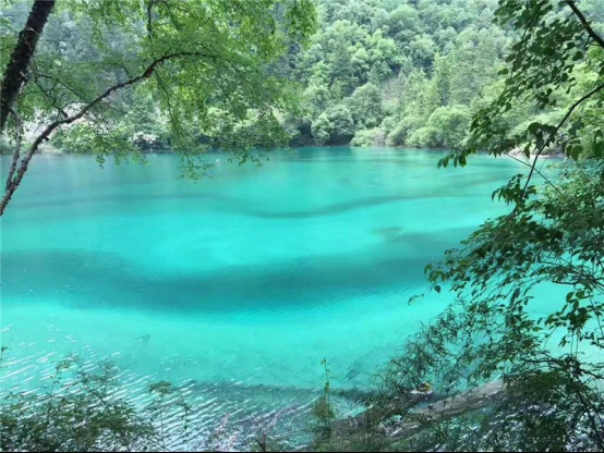 绿色健康，与大卫同行——大卫地板|木门九寨沟之旅