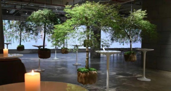 中国首家teamLab艺术感官餐厅震撼绽放 贝森豪斯全程倾力打造
