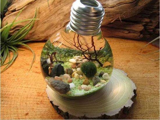 家居创意DIY 爱迪生发明灯泡不止是照明的