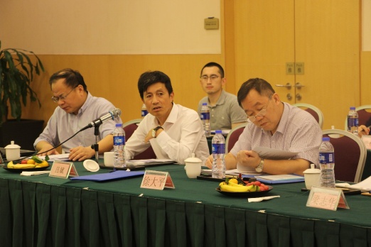 课题承担单位领导中国林科院木材工业研究所副所长吕斌讲话