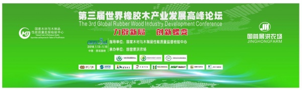 网易直播|第三届世界橡胶木产业发展高峰论坛