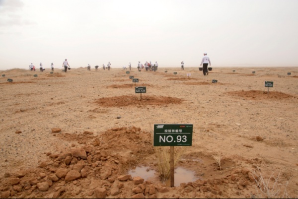 大自然家居携手中国绿化基金会，助力阿拉善沙漠绿化