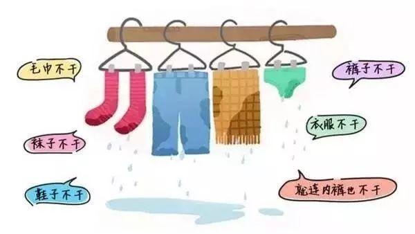 【最强晾衣机】专治梅雨天衣服晾不干