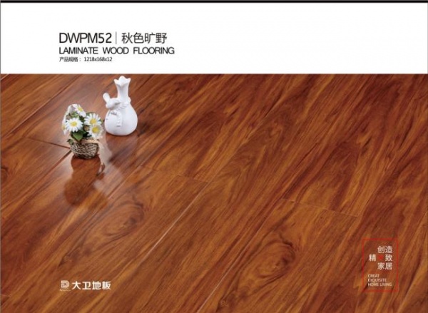 大卫地板 中国红强化乐享系列：DWPM52 秋色旷野