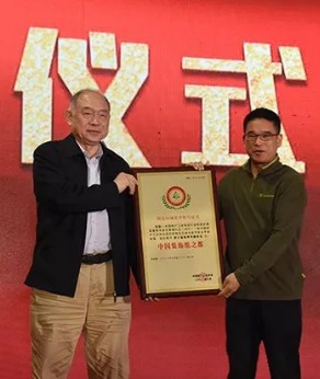 中国林产工业协会秘书长石峰为临安授牌