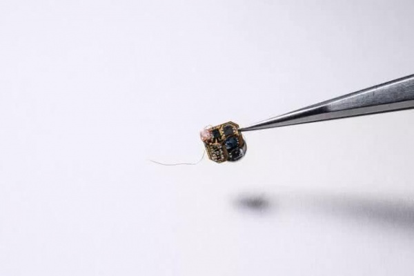 微型传感器“武装”小蜜蜂