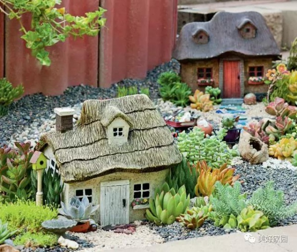 美国园艺师打造微缩精灵花园 细看就像霍比特村