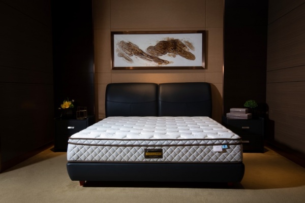标题一：慕思普惠款床垫测评|护脊助眠，安心好眠，有这款床垫就够了！