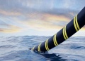 远东控股打造高端海工海缆产业基地，助力全球海底光缆建设