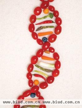 饮食影响基因表达